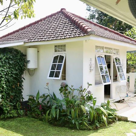 Pondok Plantation Luxury Mountain Escape Bedugul Бедугул Екстериор снимка