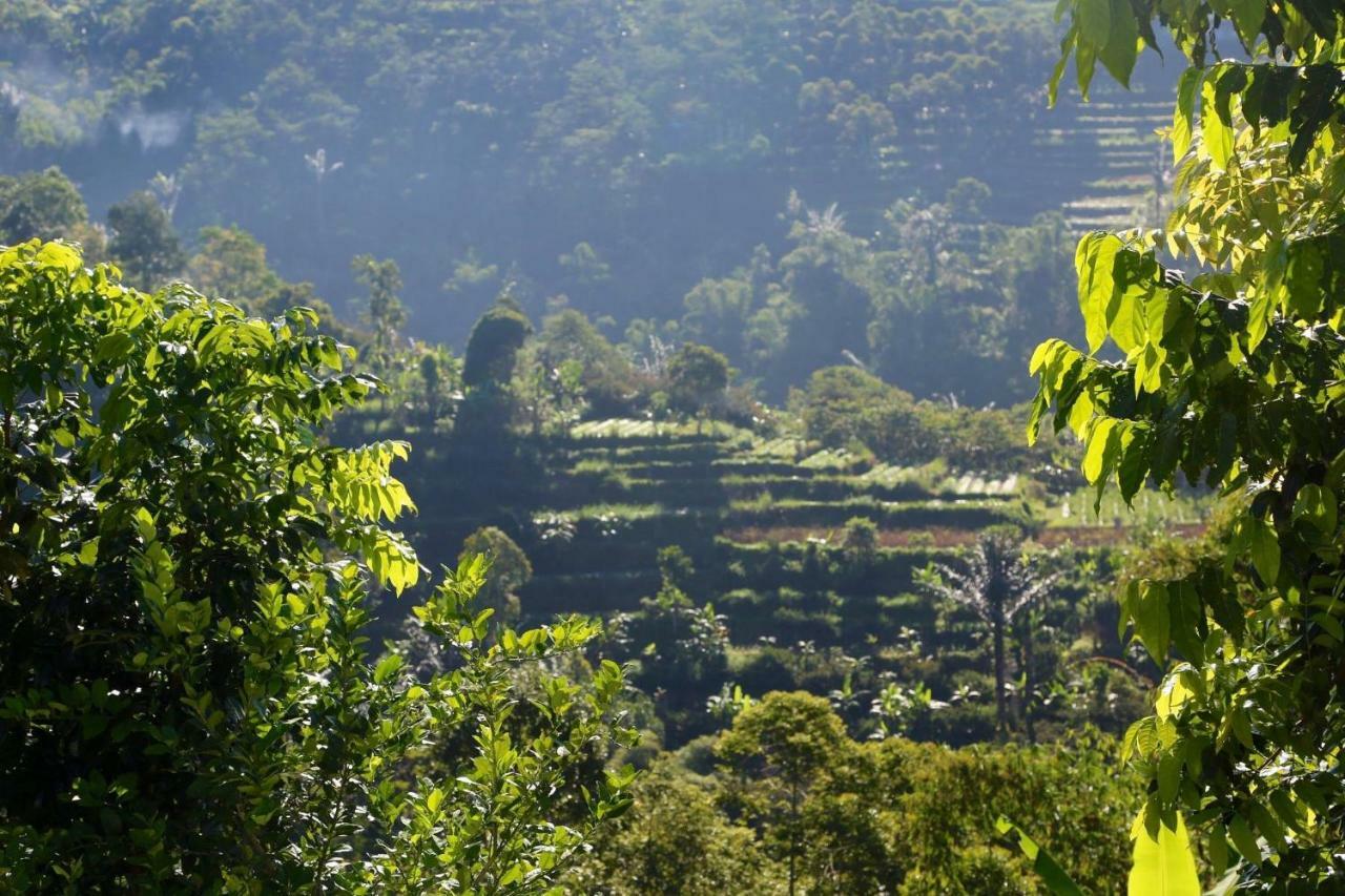 Pondok Plantation Luxury Mountain Escape Bedugul Бедугул Екстериор снимка