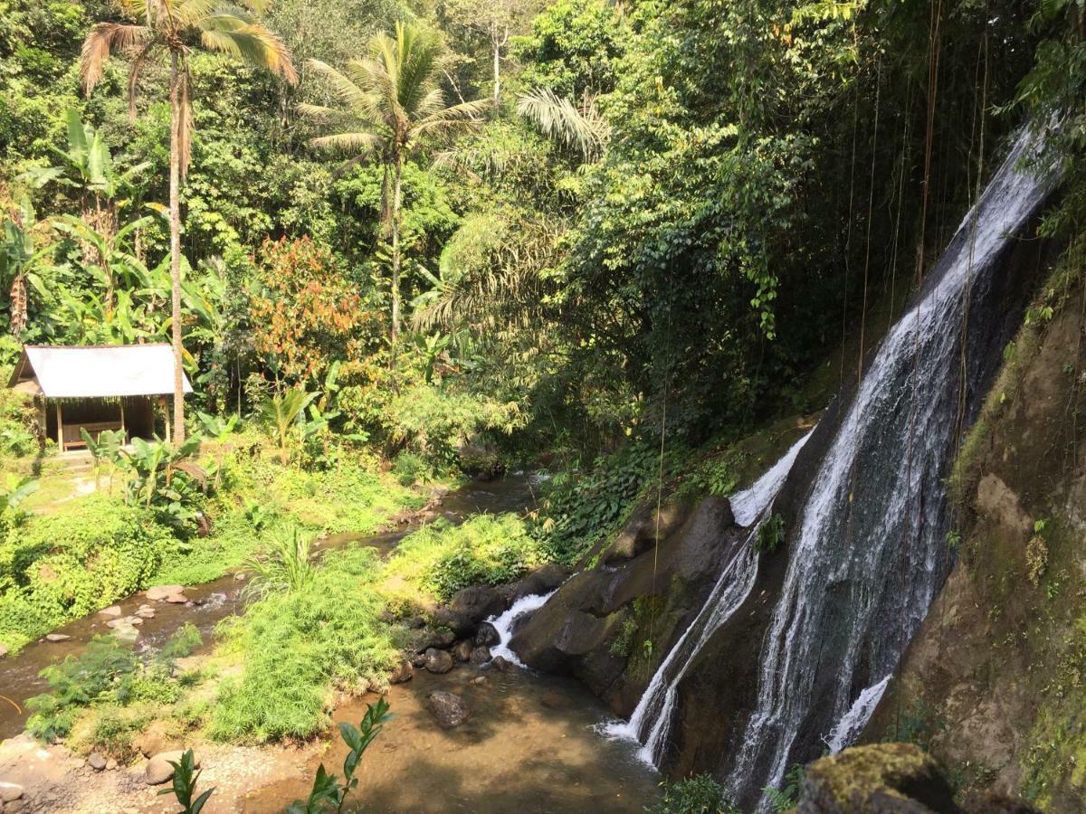 Pondok Plantation Luxury Mountain Escape Bedugul Бедугул Екстериор снимка