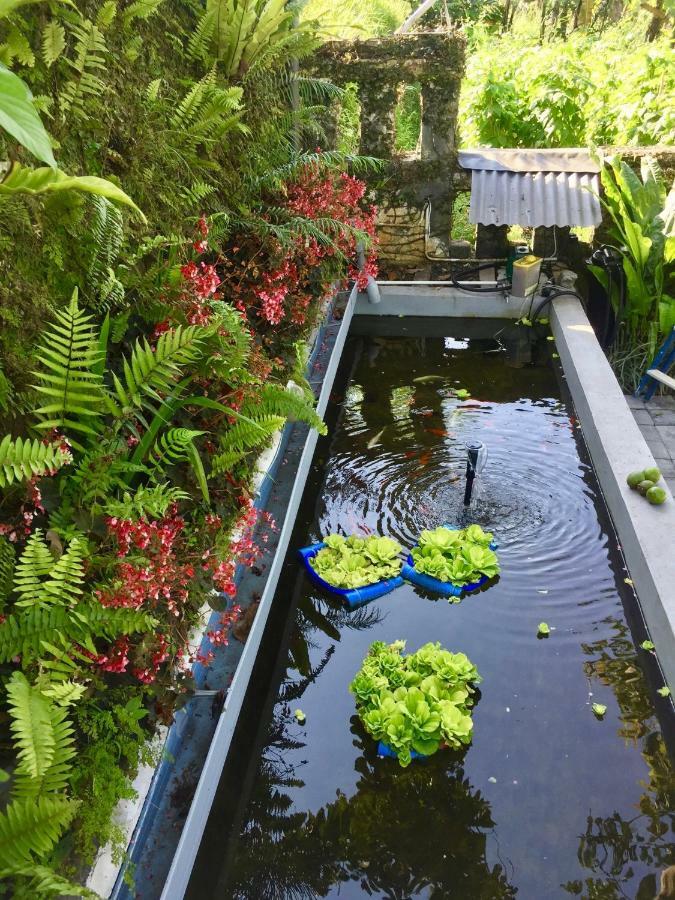 Pondok Plantation Luxury Mountain Escape Bedugul Бедугул Екстериор снимка