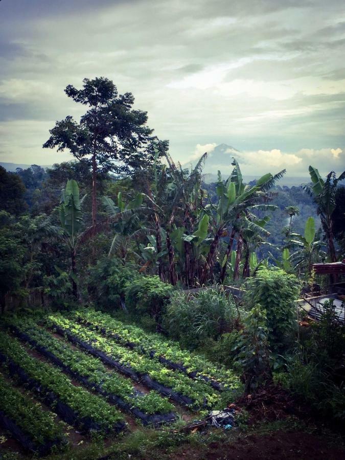 Pondok Plantation Luxury Mountain Escape Bedugul Бедугул Екстериор снимка